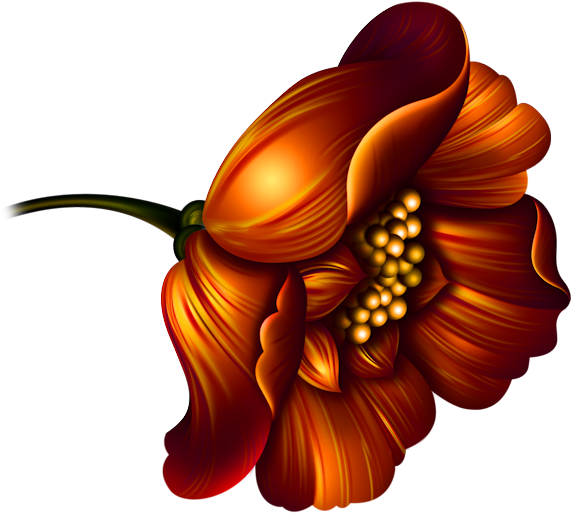 Image Du Blog Leonamoroco - Illustration (600x538), Png Download