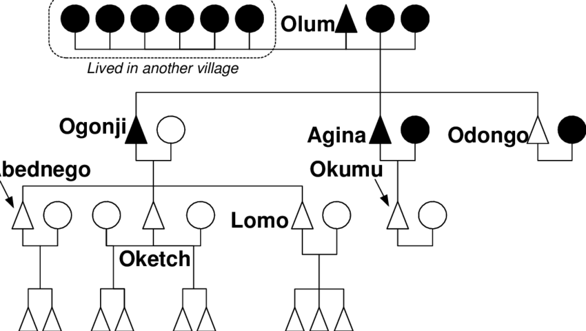 2 The Descendants Of Olum - Diagram (850x480), Png Download