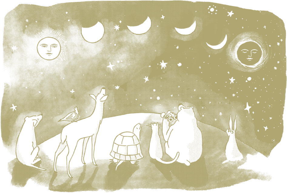 Constellations Postcard - Illustration (1000x667), Png Download