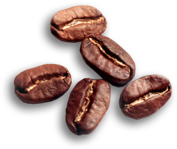 A Highlight Of The Festival Last Year, The Lab Sessions - Caffeine (380x342), Png Download