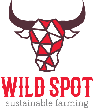 Animal Logos - Logo (540x460), Png Download