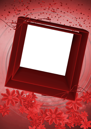 Photo Frame - Red Square - Portable Network Graphics (316x448), Png Download