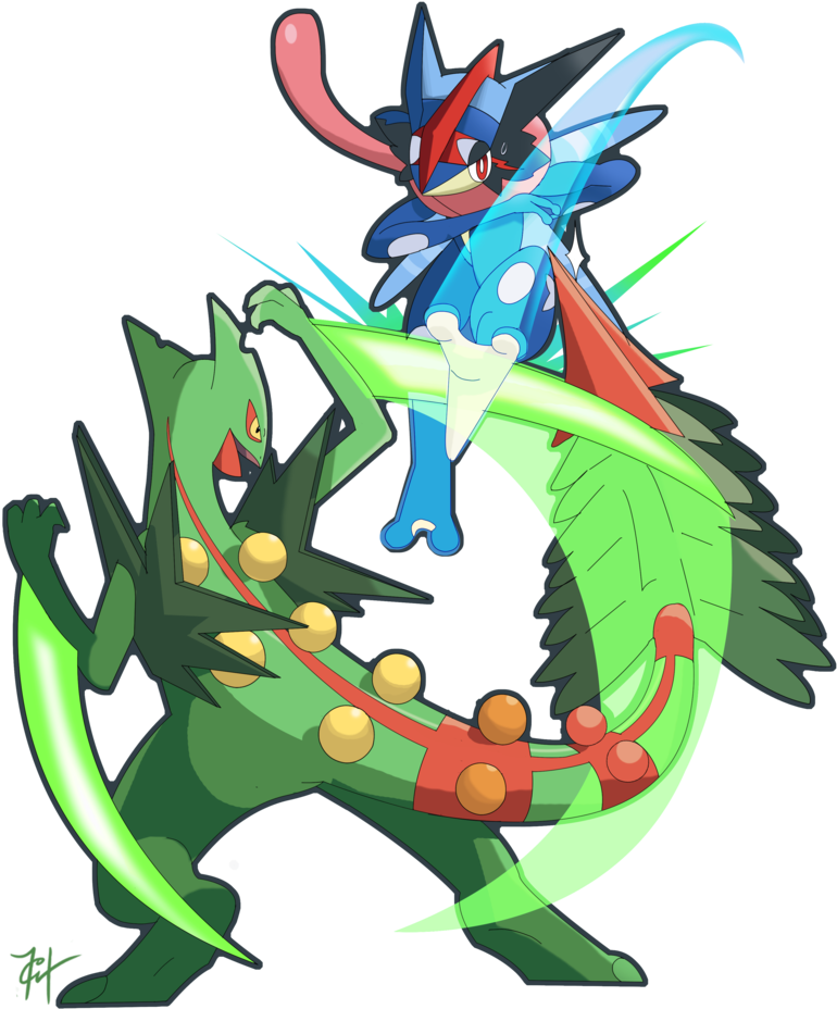 Znalezione Obrazy Dla Zapytania Mega Sceptile Vs Mega - Draw Sceptile Vs Greninja (800x1000), Png Download