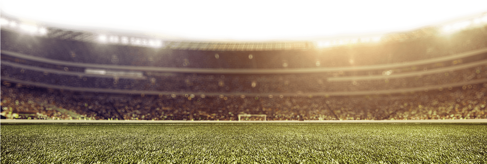 Go To Image - Cricket Stadium Png Hd (1600x560), Png Download