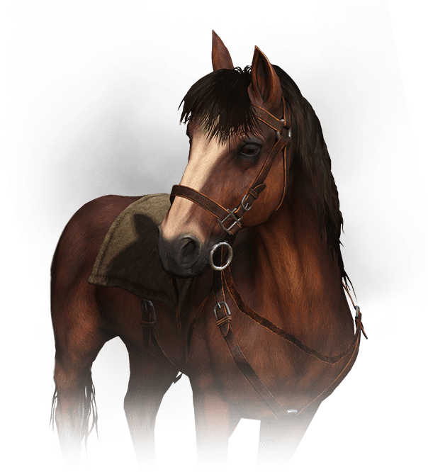 Roach - Witcher 3 Roach Png (654x727), Png Download