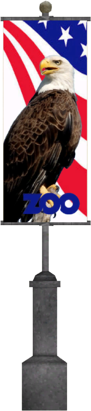 North American Banners - Bald Eagle (840x840), Png Download