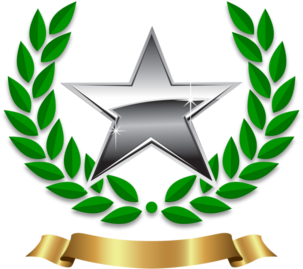 Platinum Star - Olive Branch Symbol Peace (1000x1000), Png Download