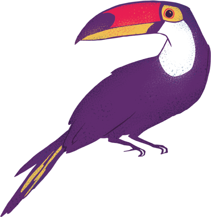 Clipart About Amaz Nia Font Amaznia Illustrations - Toucan (944x818), Png Download