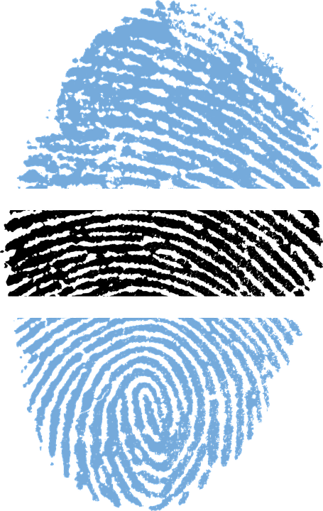 Qualities To Look For In Immigration Lawyers - Botswana Flag (455x720), Png Download