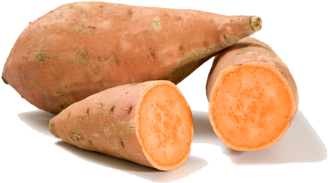 Sweet-potato - Sweet Potato In German (500x413), Png Download