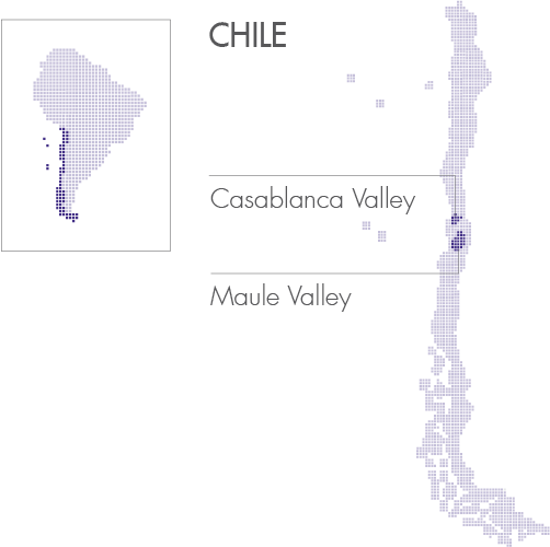 South America 2 Chile - Diagram (502x500), Png Download