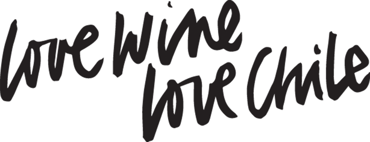 I Want To Learn More - Chilean Wine (1228x472), Png Download