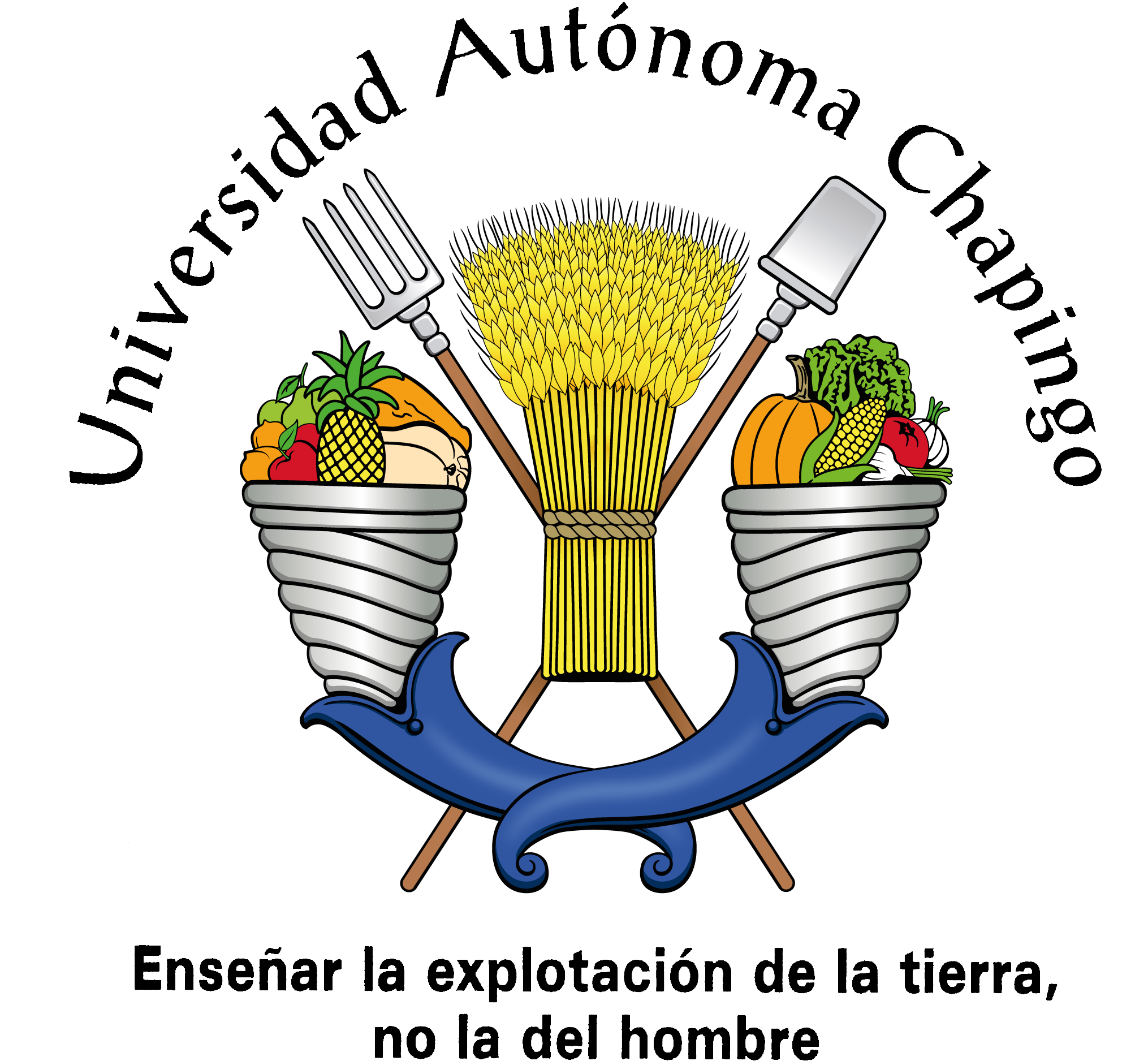 Logo Chapingo Sin Fondo (2177x2264), Png Download