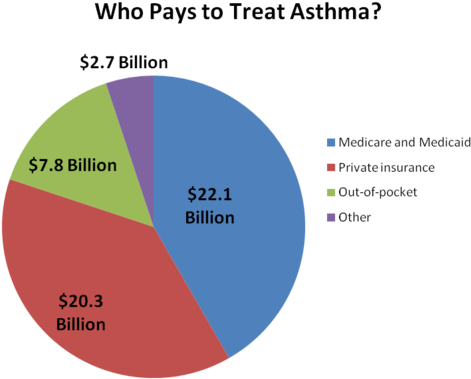 Asthma Cost Pie Chart - Traffic By Google Ranking (500x400), Png Download