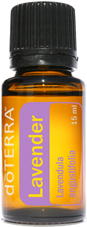 Download Doterra Lavender Png Doterra Frankincense Essential Oil Full Size Png Image Pngkit