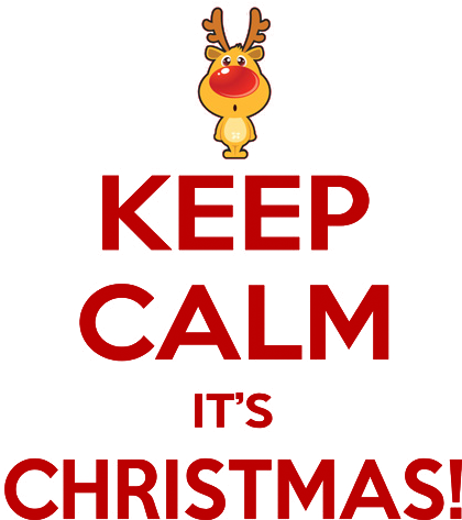 Block - Red - Keep Calm And Play Cricket (419x480), Png Download