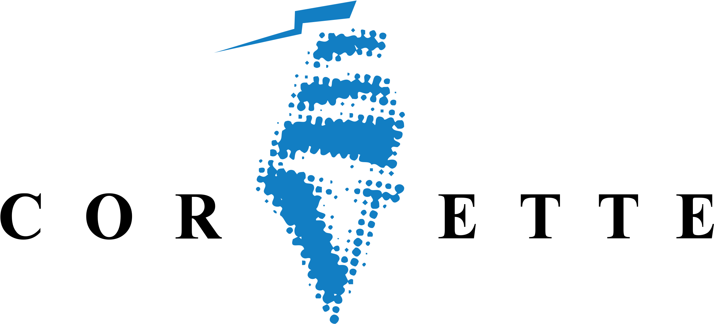 Corvette Logo Png Transparent - Logo (2400x2400), Png Download