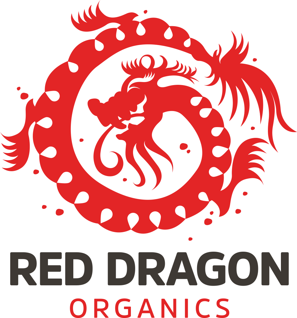 Myth Of The Dragon - Myth (1754x2045), Png Download