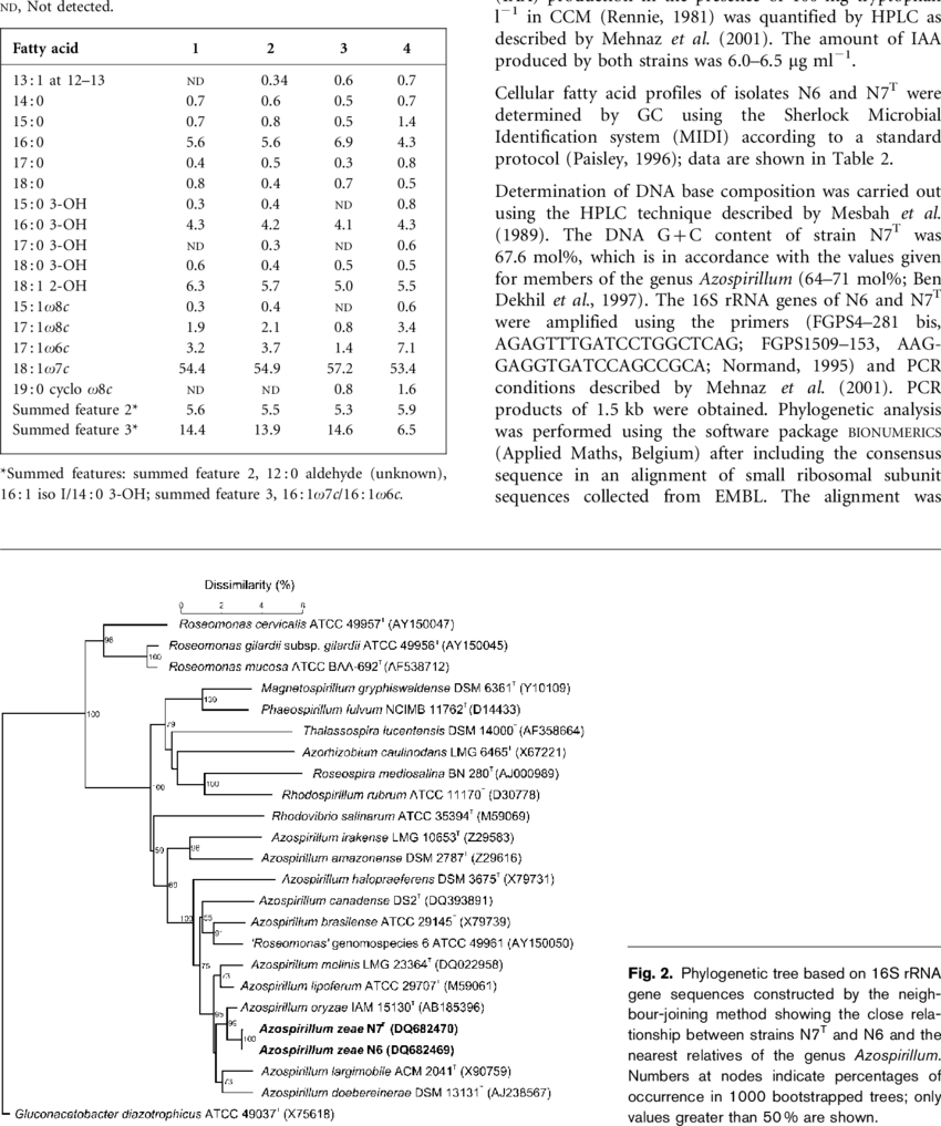 Cellular Fatty Acid Composition Of Corn Rhizosphere - Animais Peçonhentos (850x1017), Png Download