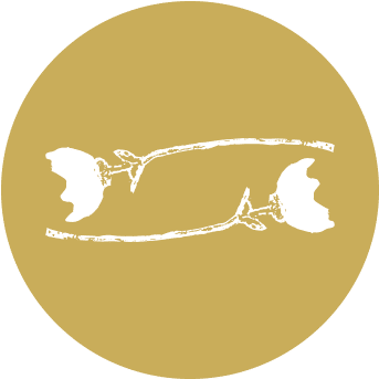Logo (442x459), Png Download