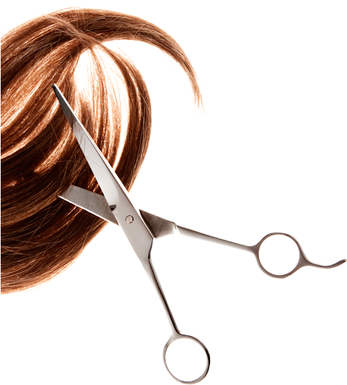 Redken Specialist - Hairstyle (500x549), Png Download