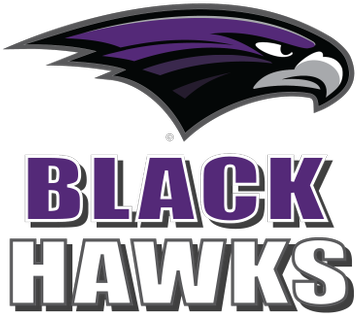 Bh Black Hawks - Bloomfield Hills High School Logo (400x400), Png Download