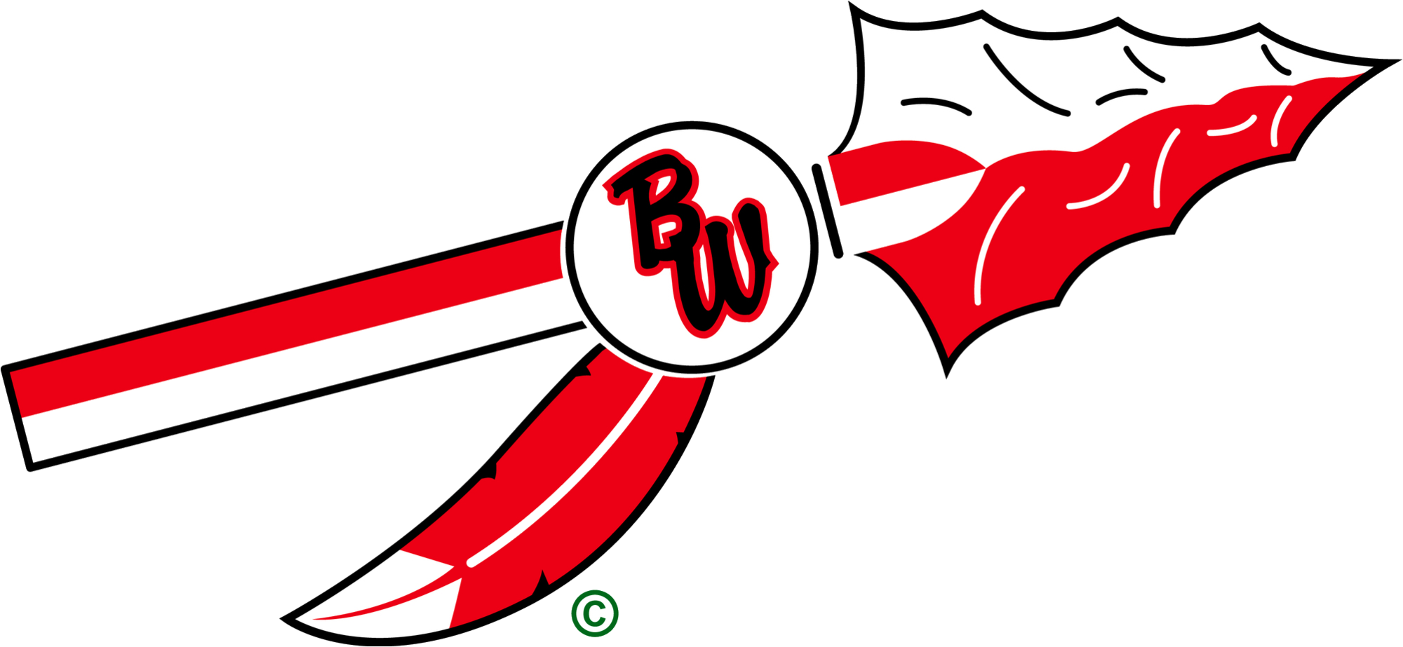 Baldwin Woodville Blackhawks (2000x923), Png Download