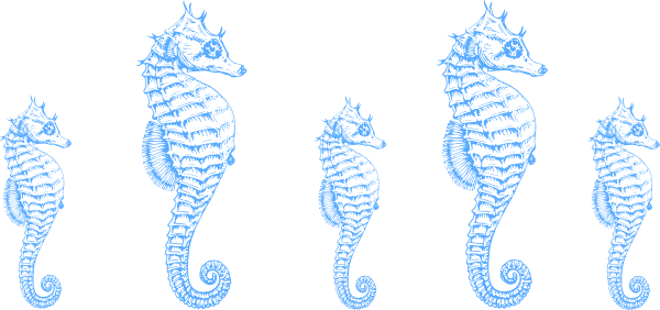 Seahorse Border Clip Art - Seahorse Drawing Shower Curtain (600x282), Png Download