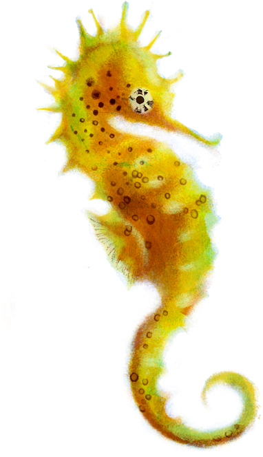 Free Icons Png - Northern Seahorse (1134x756), Png Download