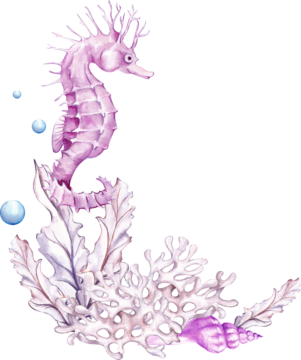 Pink Seahorse Cartoon Transparent - Transparent Background Seahorse (1024x1222), Png Download