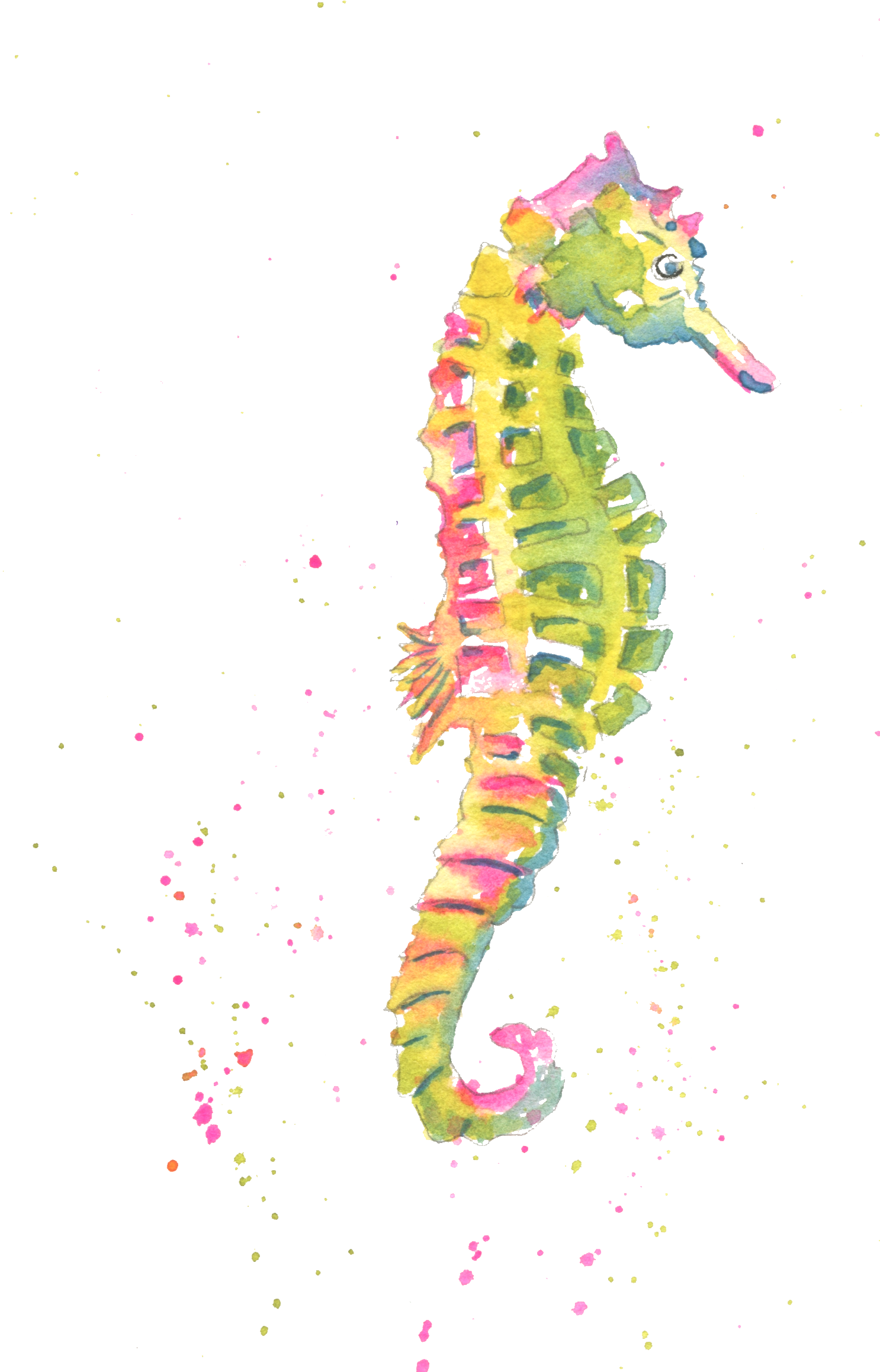 Home>note Cards>summer Theme Note Cards - Northern Seahorse (1506x2317), Png Download
