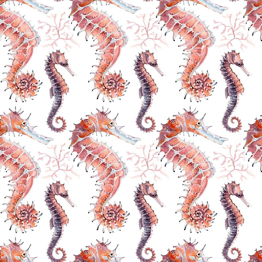 Hand Drawn Deep Sea Seahorse Background Illustration - Illustration (1024x1024), Png Download