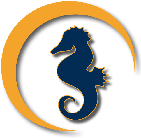 Logo-seahorse - Seahorse (500x500), Png Download