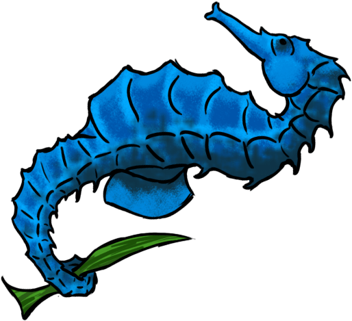 Seahorse (640x480), Png Download