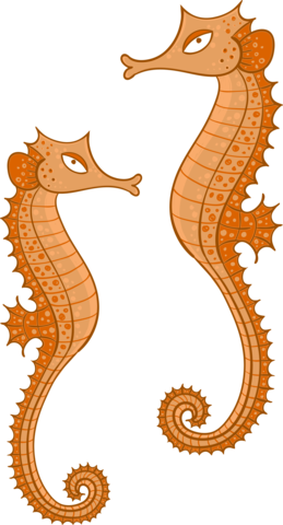 The Ratty Seahorses - Cartoon (259x480), Png Download
