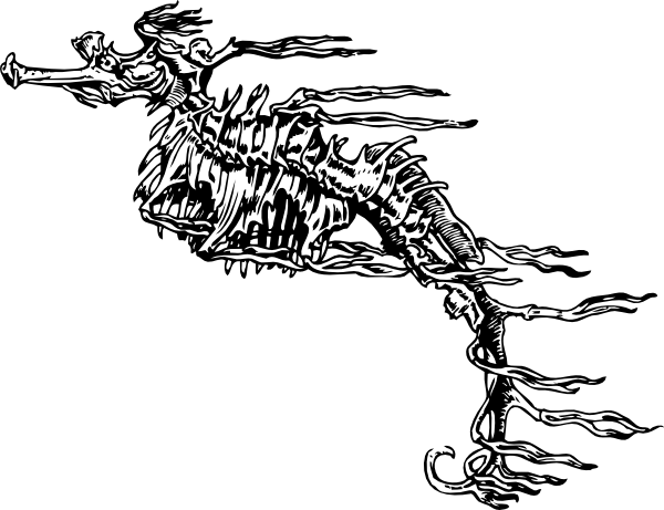 Seahorse Skeleton Svg Clip Arts 600 X 461 Px (600x461), Png Download