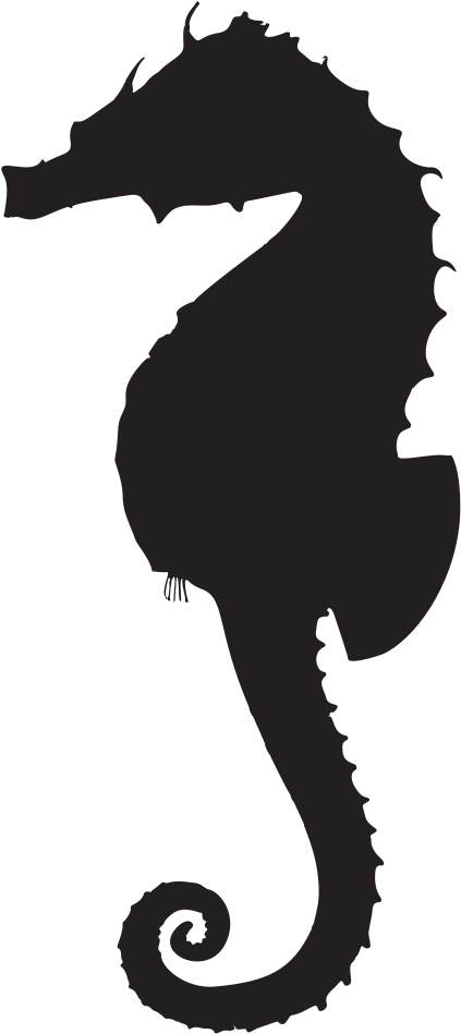 Medium Image - Black And White Seahorse Images Clipart (338x758), Png Download