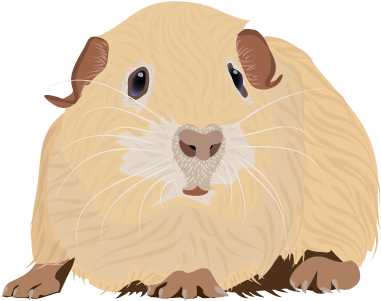 201408 Guinea Pig - Guinea Pig Png (400x400), Png Download