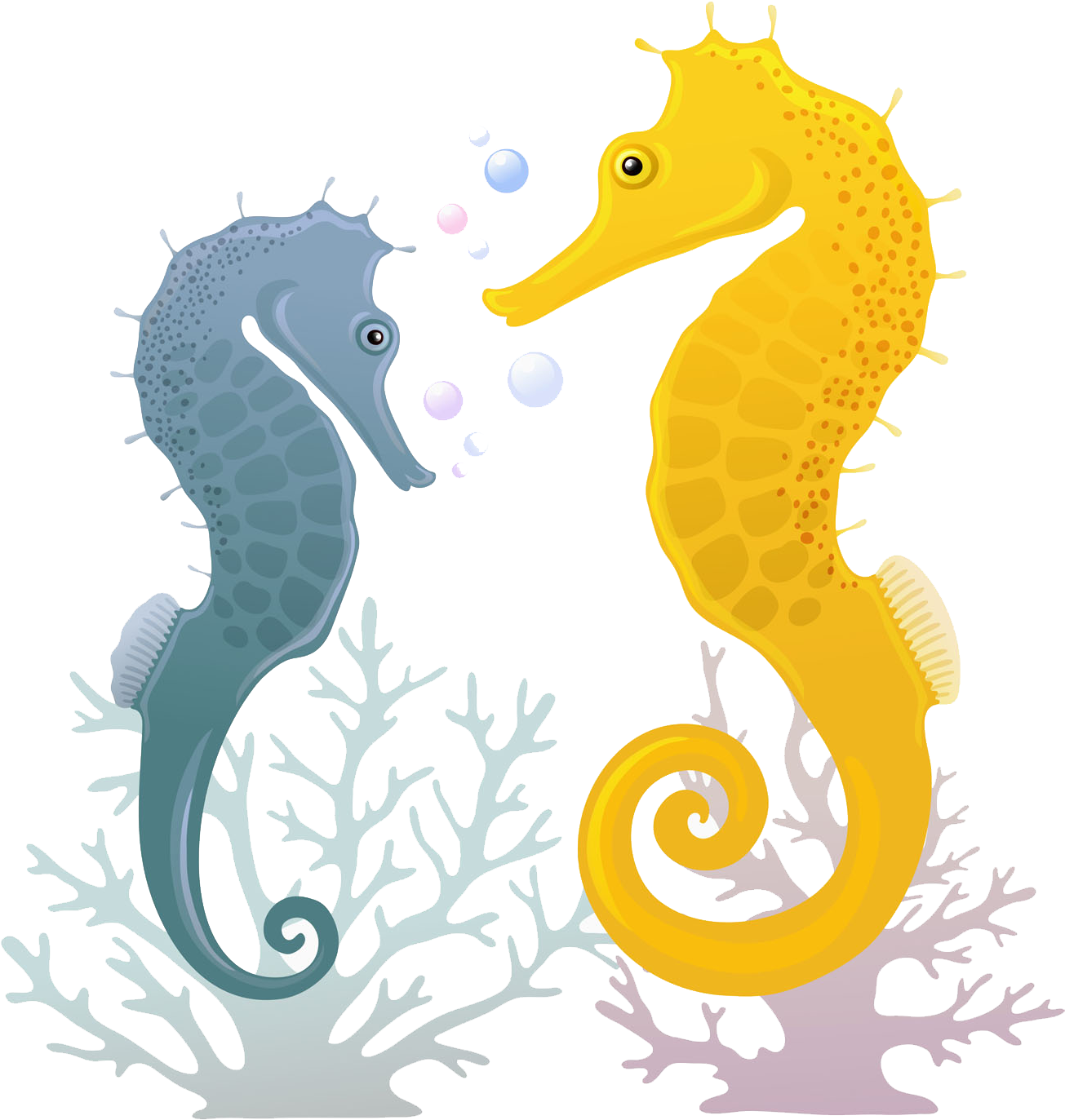 Seahorse Illustration (1869x1869), Png Download