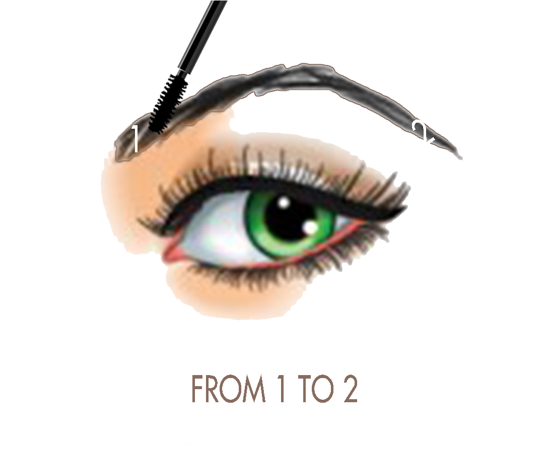 19 Eyelash Clip Transparent Library Eyebrow Threading - Cosmetics (1087x938), Png Download