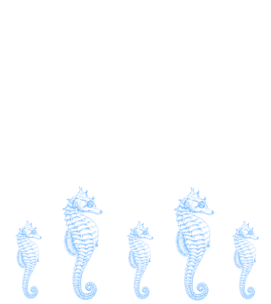 Seahorse Border Svg Clip Arts 534 X 598 Px (534x598), Png Download