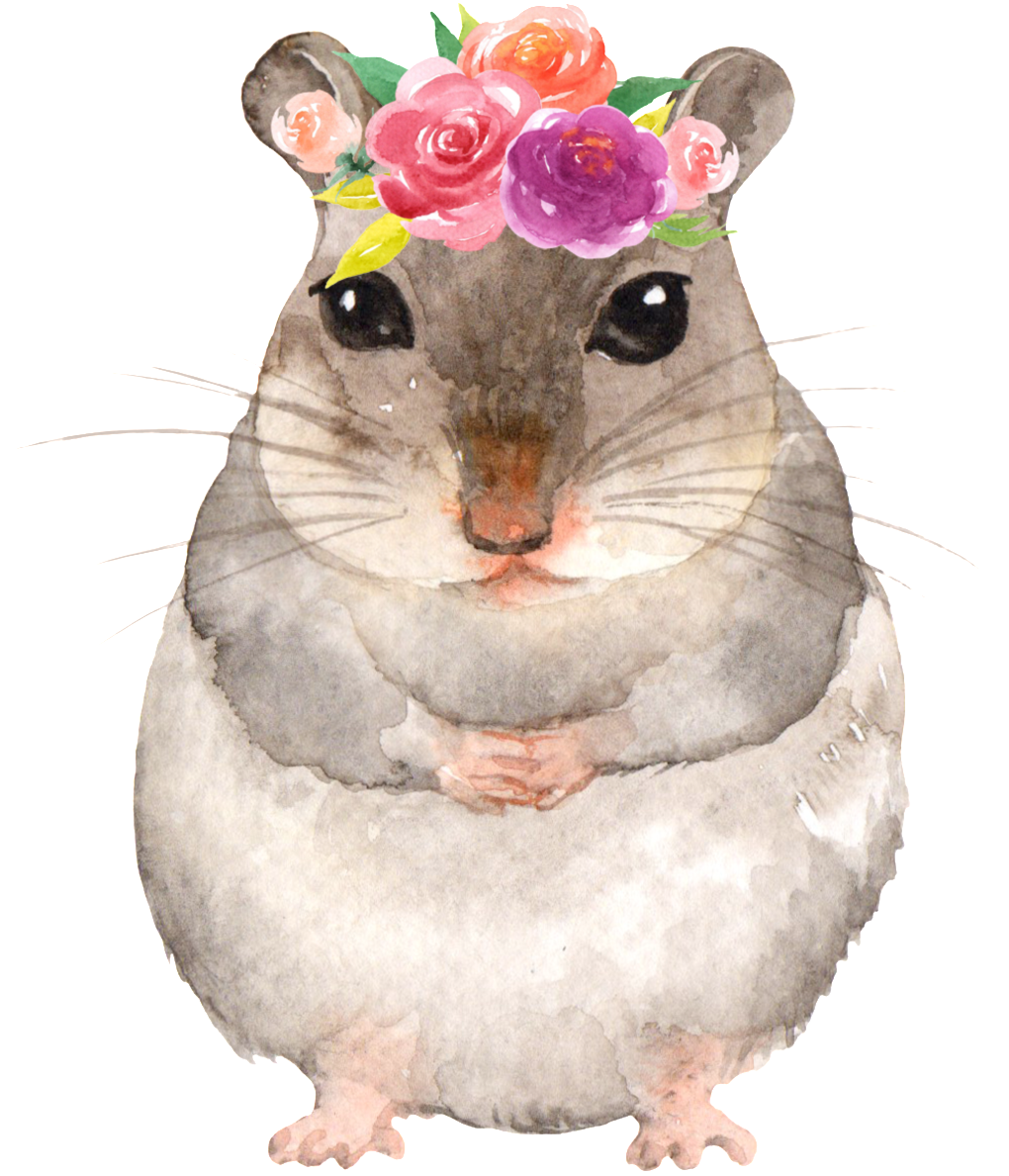 Journal Notebook For Animal Lovers Hamster In Flowers: (1024x1228), Png Download