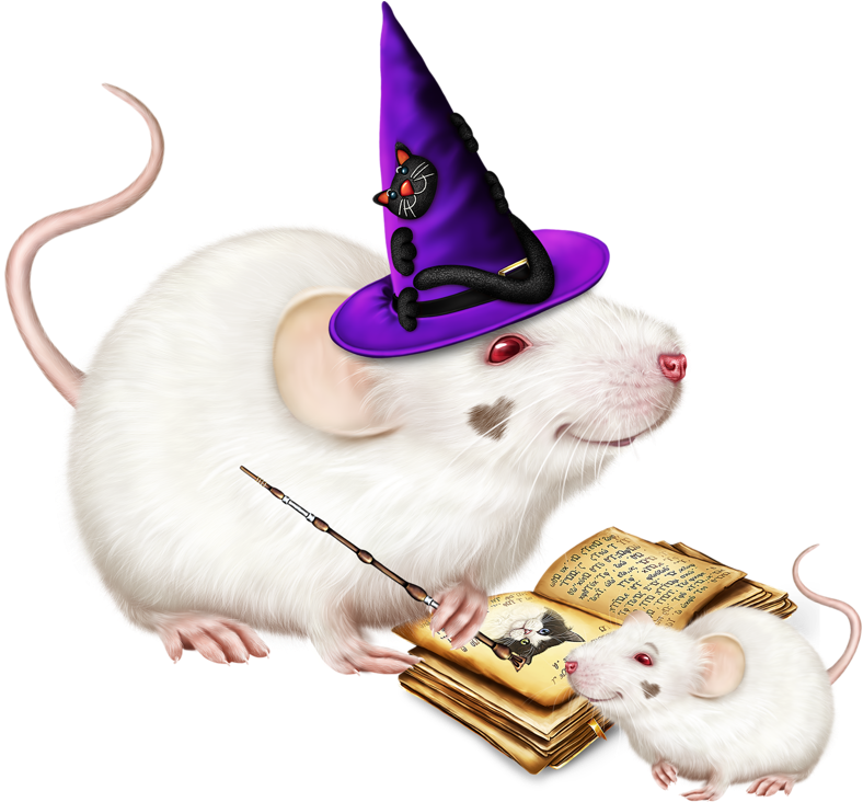Hamster Clipart Forest Animal - Kangaroo Rat (800x731), Png Download