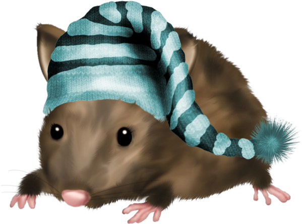 Mouse, Tubes, Png - Bonne Nuit Rat (600x450), Png Download