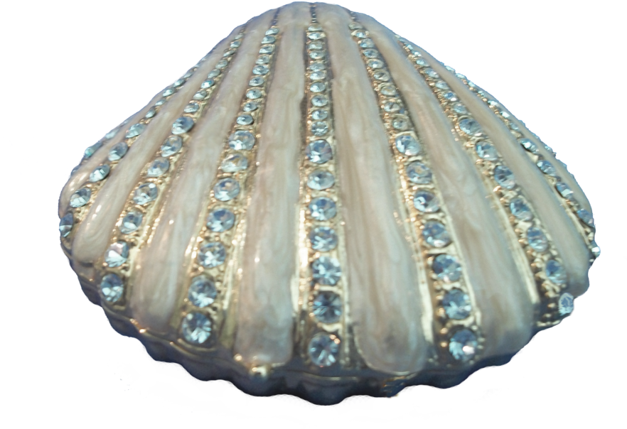 Best Seashell Clipart Png - Shell Transparent Background (900x680), Png Download