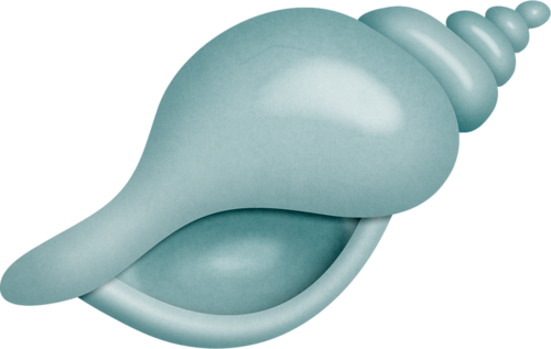 Seashell - Clip Art (500x317), Png Download