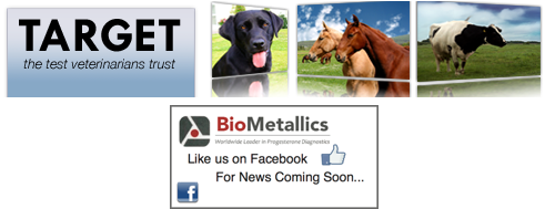 Canine Products - Black Lab Pillow Case (750x188), Png Download