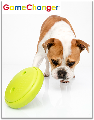 Sadly, The Charity Is Facing Closure And Needs To Raise - Boxer (349x450), Png Download