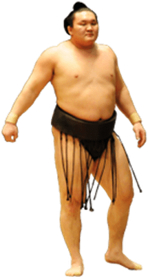 Sumo Wrestler Transparent Png (400x400), Png Download