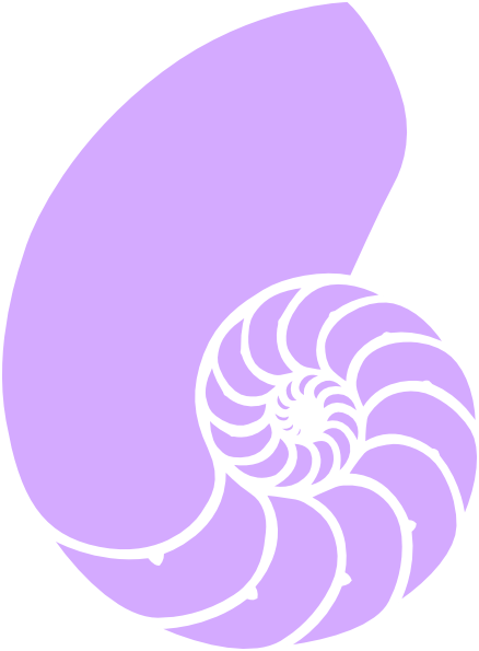 Purple Nautilus Shell Clip Art At Clker - Nautilus Shell Clipart (438x595), Png Download